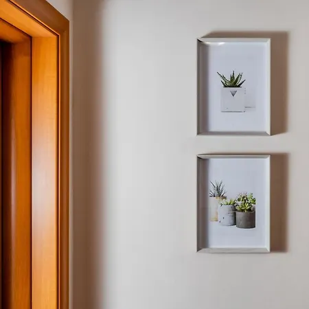 View Apartment